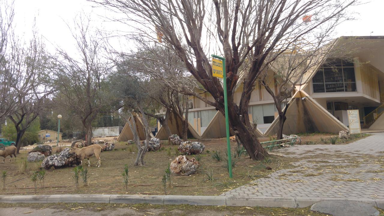 Margo Zimmer Vila Midreshet Ben Gurion Exterior foto